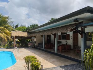 Lire la suite à propos de l’article Auvent en Palmex